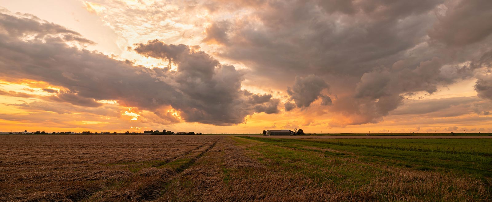 North Dakota farm at sunrise