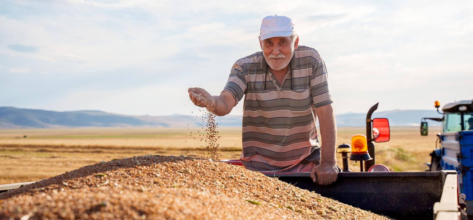 Farmer holding grains in field